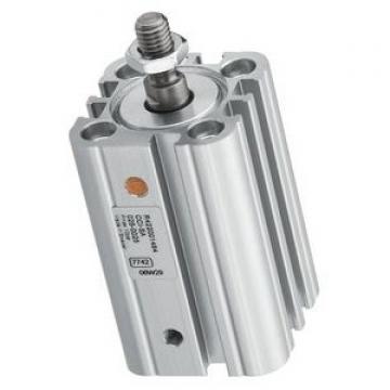  Vérin pneumatique air Cylinder DOUBLE Bosch D50 mm H 50 mm  765 0 822 352 002