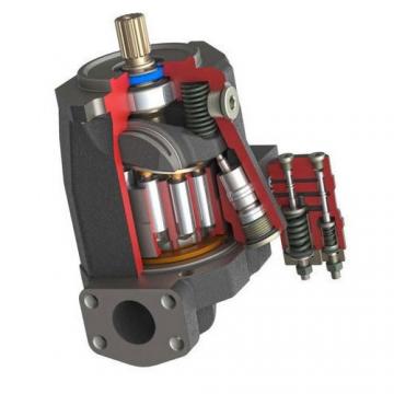 Hydraulique 6 Piston Pompe à huile 60 L jusqu'à 300 Bar £ 300 + TVA = 360 £