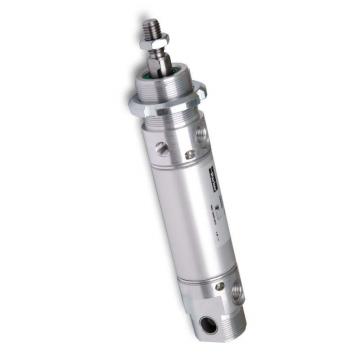PARKER double action Pneumatique Cylindre profilé 50 mm Diamètre, 160 mm Stroke 9060963