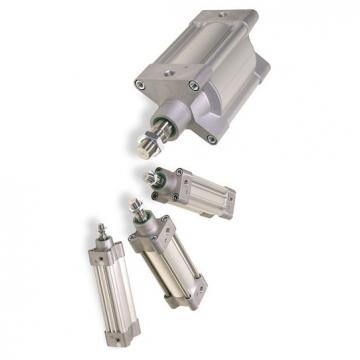 PARKER p1a-s010ss-0015 pneumatique cylindre ISO mini