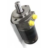 Parker / Jcb 3CX Double Pompe Hydraulique 333/G5390 36 + 29cc / Révisée Fait en