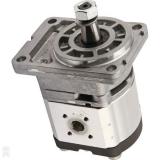 FITS VOLKSWAGON LUPO POWER STEERING PUMP 1999 - 2005 BRAND NEW BGA PSP0100